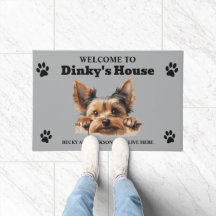 Foto de cachorro Yorkshire Terrier Fofo