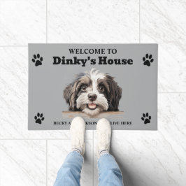 Tapete Foto de Cão-de-Água Cute Havanese