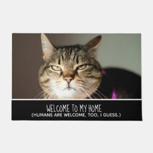 Tapete Foto de Gato Engraçado Bem-vinda aos Meus Humanos