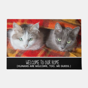 Tapete Foto de Gato Engraçado Bem-vinda aos Meus Humanos