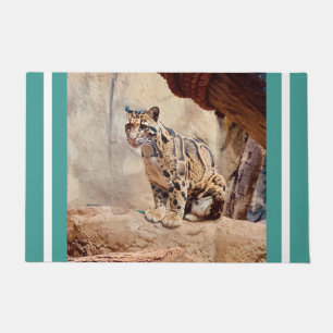 Tapete foto de leopardo nebuloso natureza vida selvagem e