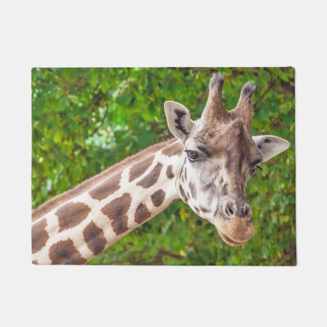 Tapete Foto do Retrato Giraffe (Frente)