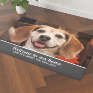 Tapete Foto Engraçada De Cachorro Você Trouxe Cinzas De B