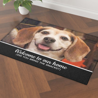 Tapete Foto Engraçada De Cachorro Você Trouxe Snacks Bem-