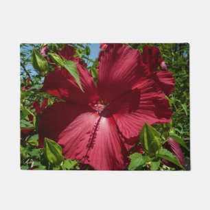 Tapete Foto natural de Hibiscus Flower and Blue Sky