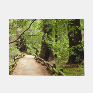 Tapete Fotografia da Natureza da Trilha de Muir Woods II