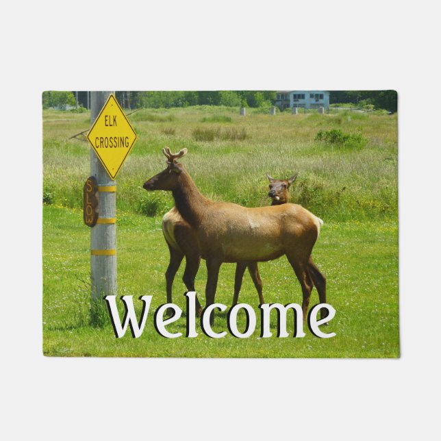 Tapete Fotografia de Elk Crossing California Willife (Frente)