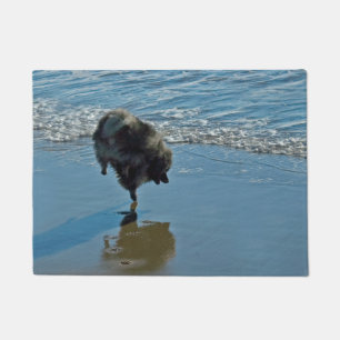 Tapete Fotografia do Balé Keeshond - Arte de Cachorro Ori