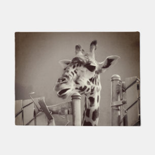 Tapete Fotografia Girafa - Estilo Vintage