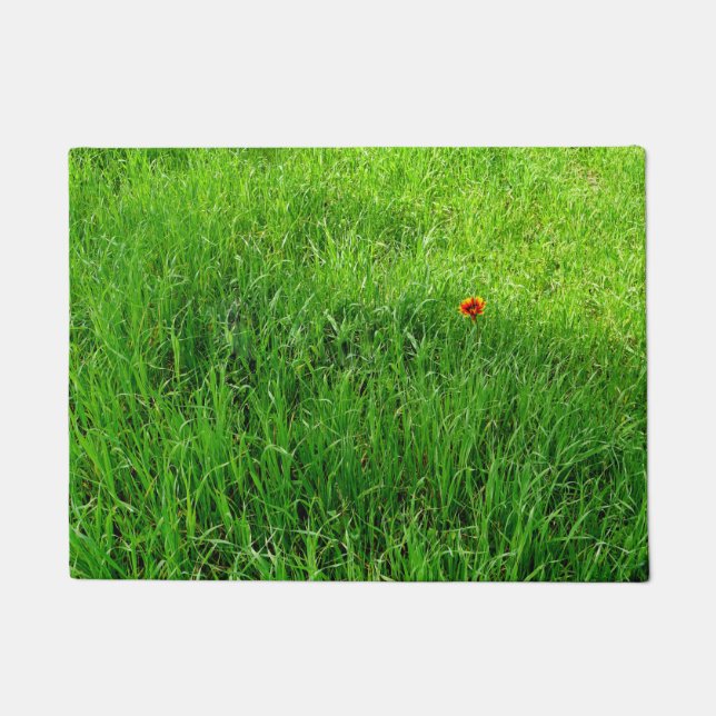 Tapete Fotografia Grass Verde (Frente)