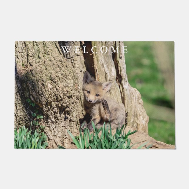 Tapete Fox Kit no Vale do Hudson (Frente)