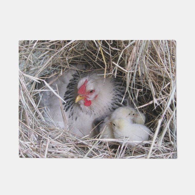 Tapete Galinha da mãe com pintinhos novos (Frente)