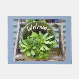 Tapete Galinhas E Pintinhos Sucultivos Pintura A Óleo Bem