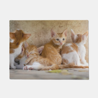 Tapete Gatinho Listrado Laranja e Branco/Adicione a Foto