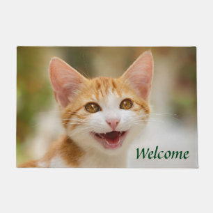 Tapete Gatinho Sorridente Enfrentando Gato Engraçado Foto