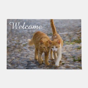 Tapete Gatinhos Gatinhos Gatinhos Gatinhos Bons Amigos Ca