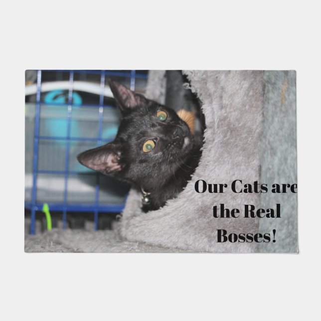 Tapete Gato (Frente)