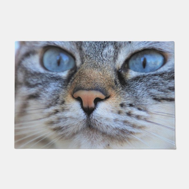 Tapete Gato de cinza (Frente)