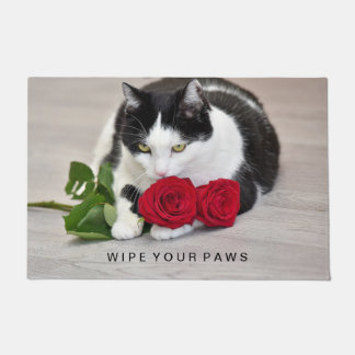 Tapete Gato fofo com a rosa vermelha