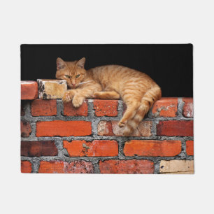 Tapete Gato na Parede Brick