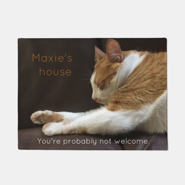 Tapete Gato que dorme no sofá (Frente)