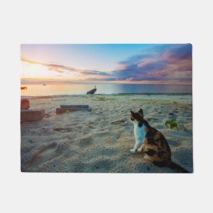 Tapete Gato que senta-se em uma praia