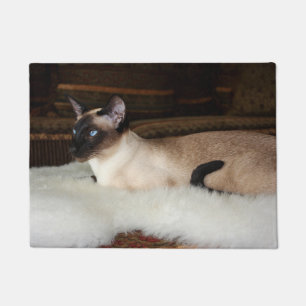 Tapete Gato Siamese elegante