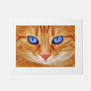 Tapete Gatos Olhos Face Tigre Carapau Vermelho Gato