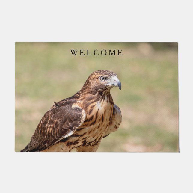 Tapete Gavião de cauda vermelha no Vale do Hudson (Frente)