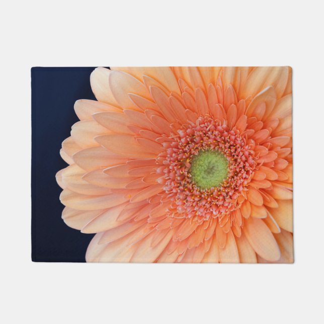 Tapete Gerbera Pêssego (Frente)