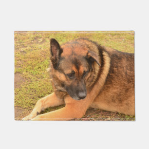 Tapete German shepherd com a uma orelha flexível