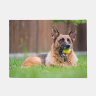 Tapete German shepherd Com Bola De Tênis