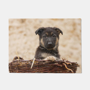 Tapete German shepherd Em Cesta