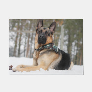 Tapete German shepherd Na Neve