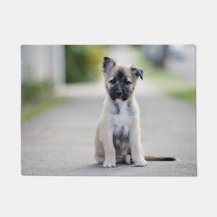Tapete German shepherd no caminho