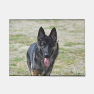 Tapete German shepherd novo