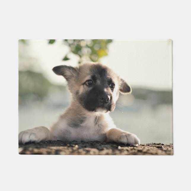 Tapete German shepherd Puppy Sobre A Borda (Frente)