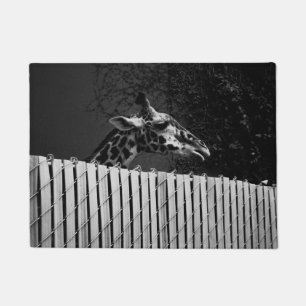 Tapete Girafa atrás da cerca fotografia preto e branco