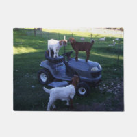 Goat Kids como Mower