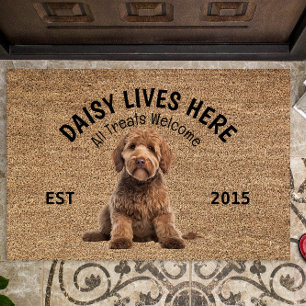 Tapete Goldendoodle - Porta Personalizada do Cão