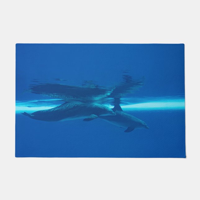 Tapete Golfinhos e oceanos azuis, chalé e água (Frente)