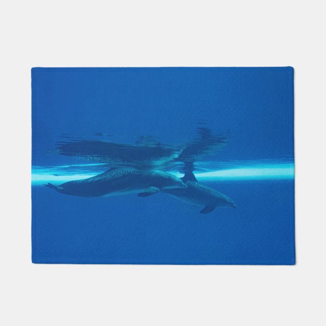 Tapete Golfinhos e reflexos, porta azul-oceano (Frente)