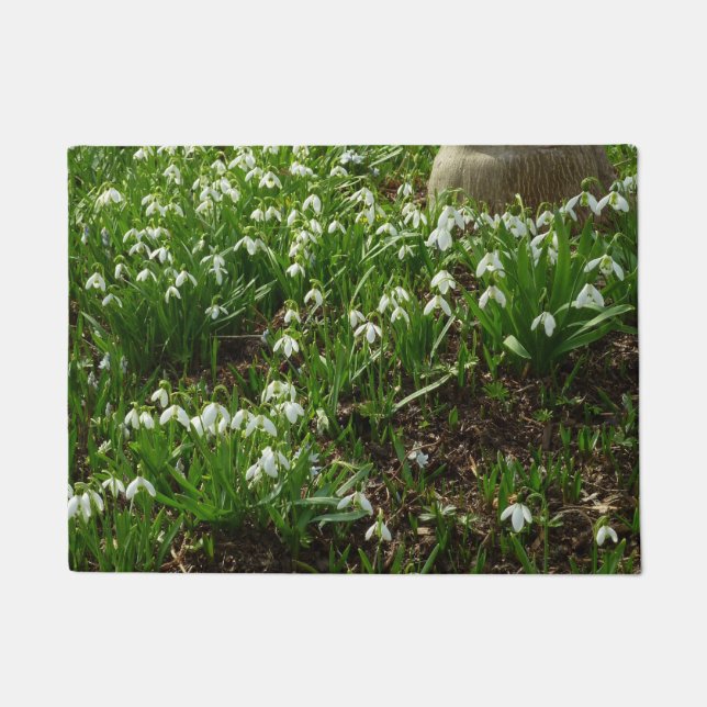 Tapete Gotas de neve II (Galanthus) Primavera (Frente)