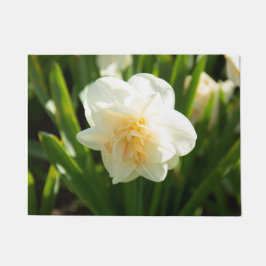 Tapete Grandes narcisos brancos em um dia de primavera  