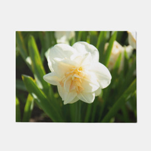 Tapete Grandes narcisos brancos em um dia de primavera
