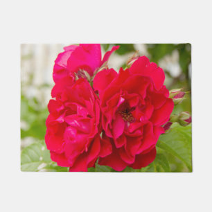 Tapete Grandes rosas vermelhas no jardim