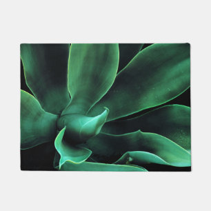 Tapete Green Agave Attenuata
