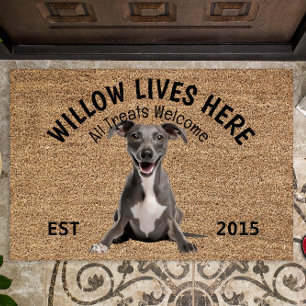 Tapete Grego Italiano Personalizado Lover de Cão
