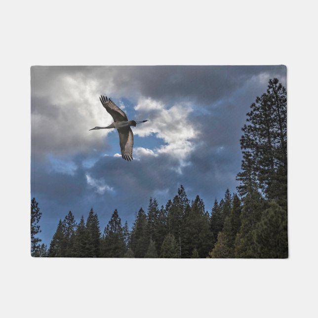 TAPETE GUINDASTE DE SANDHILL (Frente)