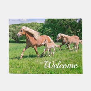 Tapete Haflinger Horses: Fotos Fedorentas Com Foto Engra